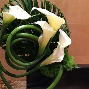 Meet your Posher, J.